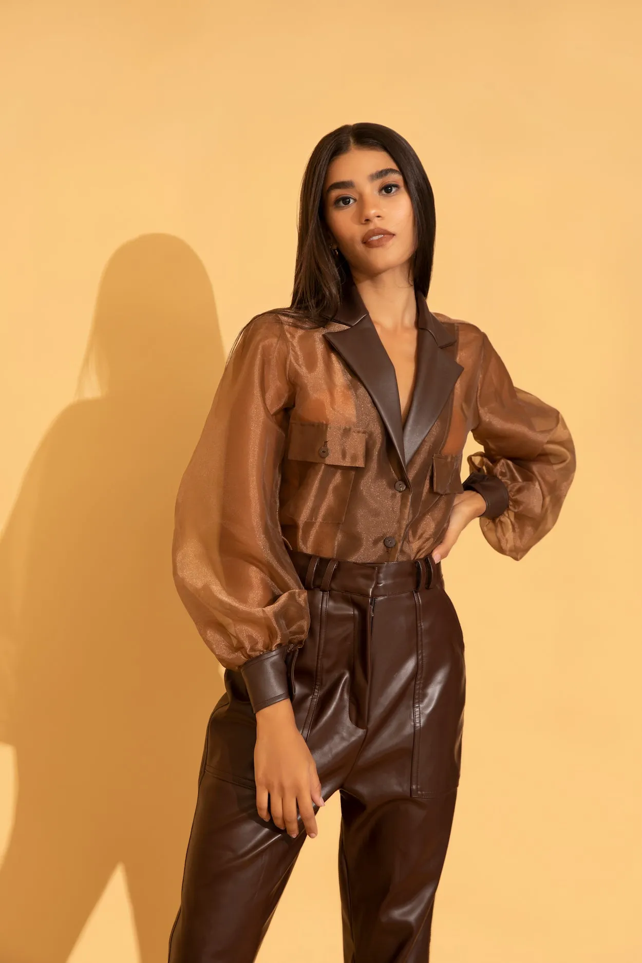 Brown Organza Shirt and Leather Pants Co-ord Set