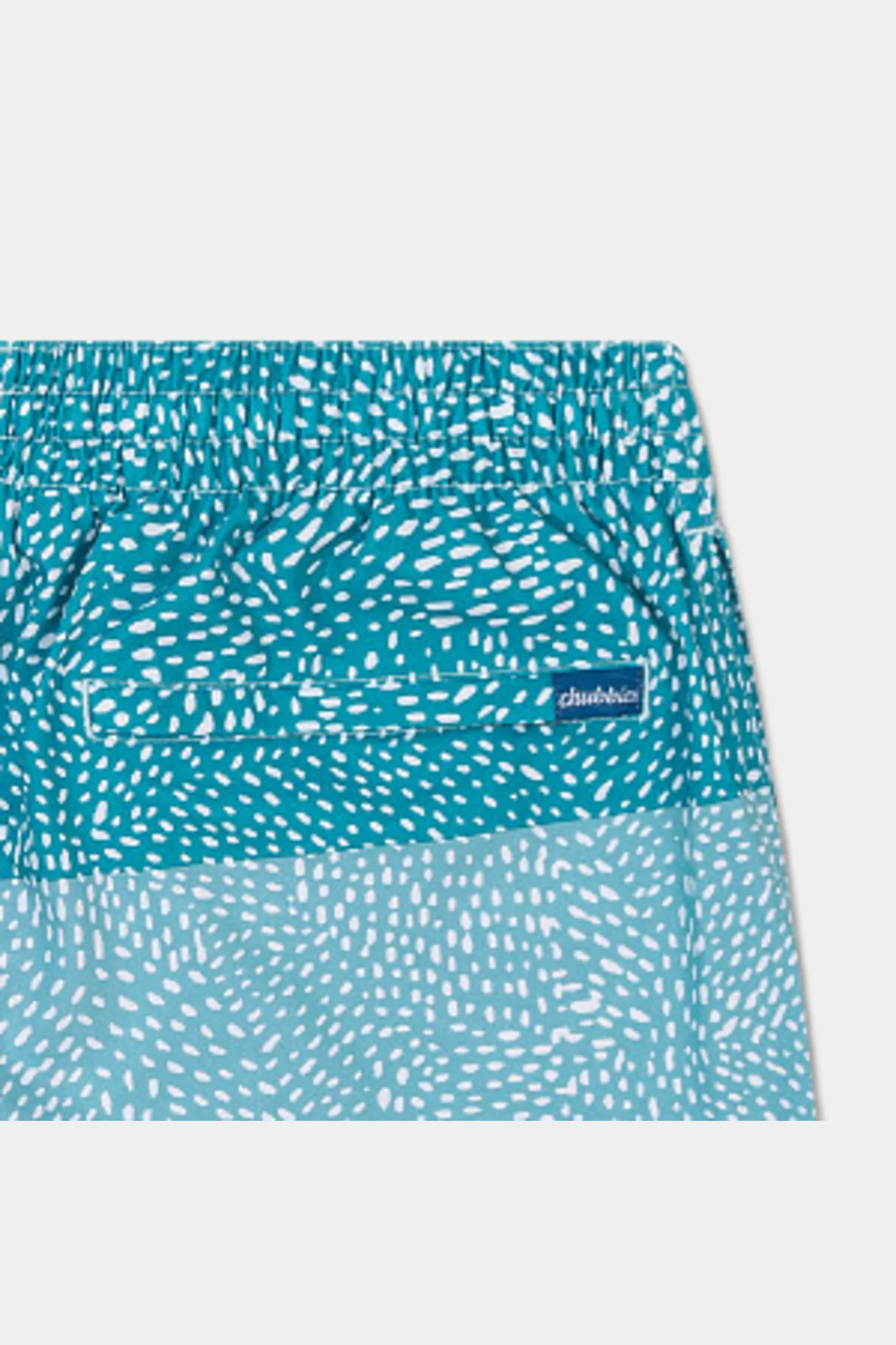 The Whale Sharks Lined Swim Trunk